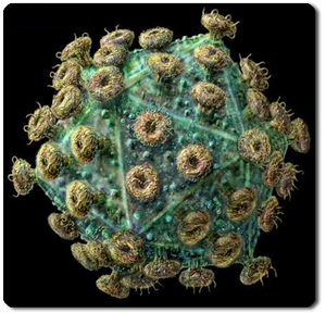 hiv-virus.jpg